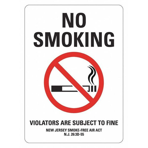 Lyle No Smoking Sign,14 inx10 in,Plastic LCU1-0191-NP_10x14
