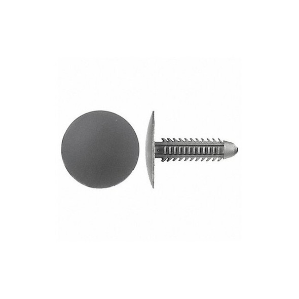 Push-In Rivet, Dome Head, 1/4 in Dia., 1-1/16 in L, Nylon Body, 25 PK