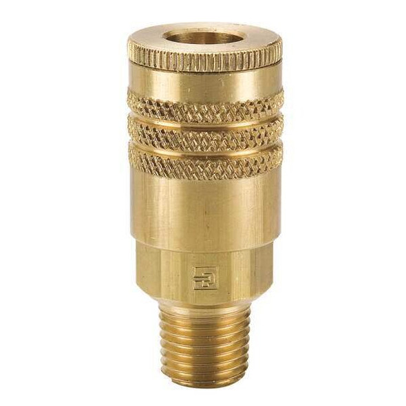 Parker Coupler Body,Brass,MNPT,1/4 In. Pipe B52
