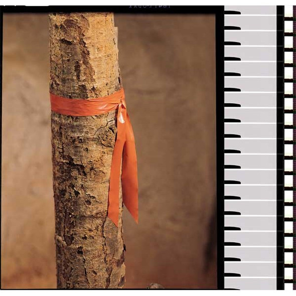 Flagging Tape, No Legend, Orange, 1 in Wide x 300 ft Length, Vinyl, 2.5 mil