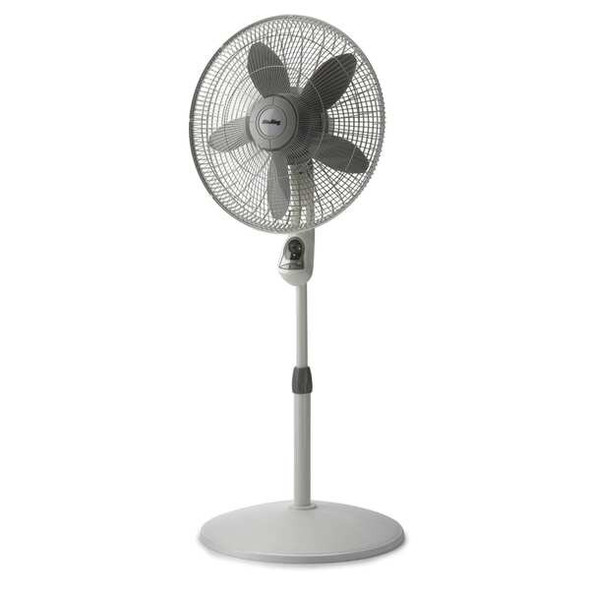 18" Blade Dia Pedestal Fan, Oscillating, 3 Speeds, 120VAC, White, Remote Control