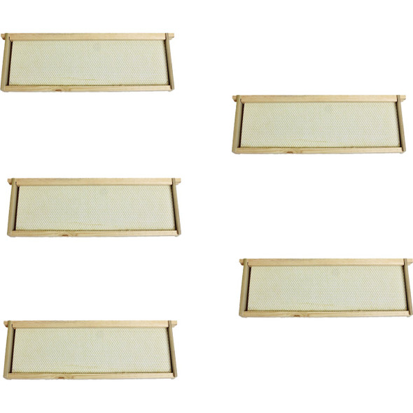 Harvest Lane Honey Medium Beehive, 5 Frames WWFFM-102-5