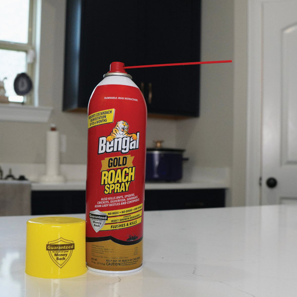 Bengal Gold 11 Oz. Aerosol Spray Roach Killer 92464 736993