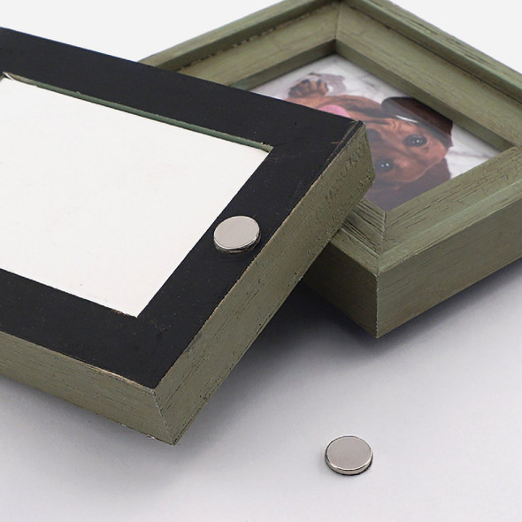 MagnetSource 1.68 Lb. Capacity Neodymium Disc Magnet with Adhesive (12-Pack)