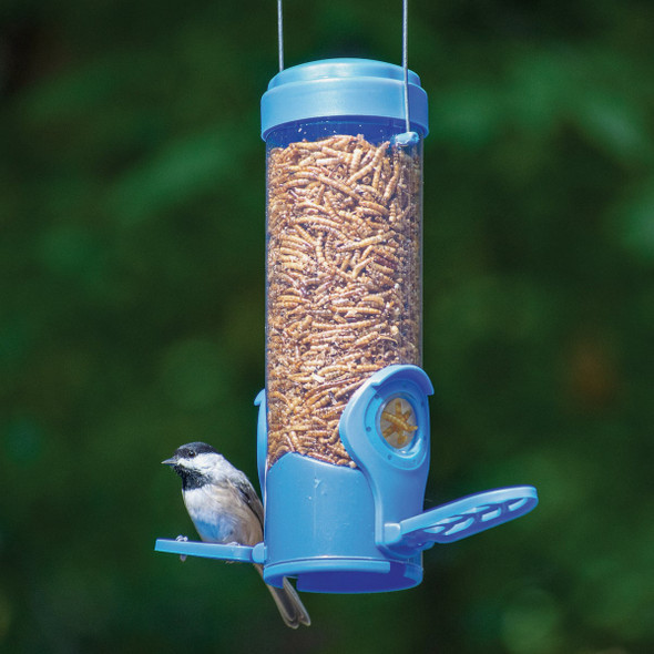 Perky-Pet 3.5 Oz. Capacity Dried Mealworm Bird Feeder with Flexports 388F 839472