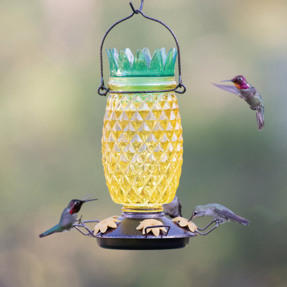Perky Pet 28 Oz. Glass Top Fill Pineapple Hummingbird Feeder 9110-2 869098