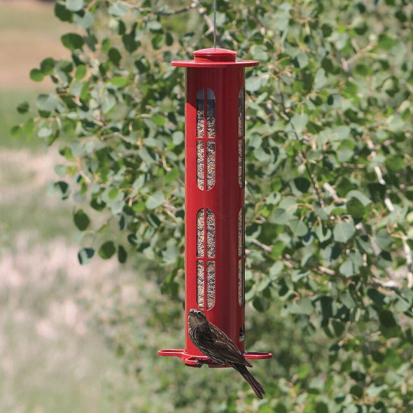 Squirrel-X8 Squirrel-Proof Bird Feeder 808 839715