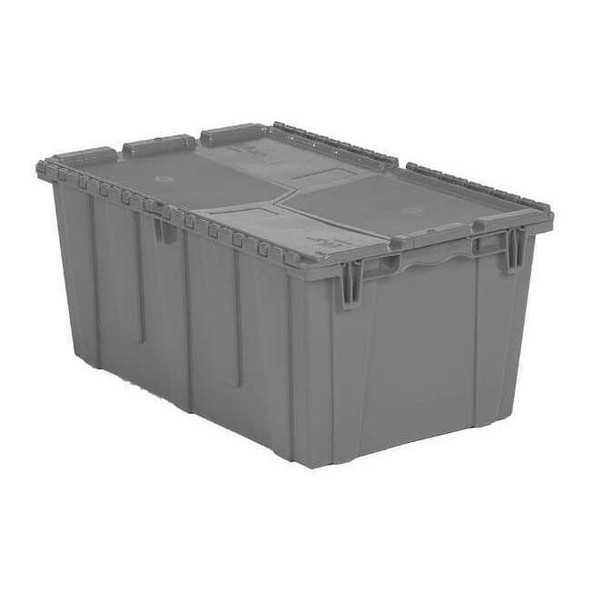 Orbis FP243 Grey