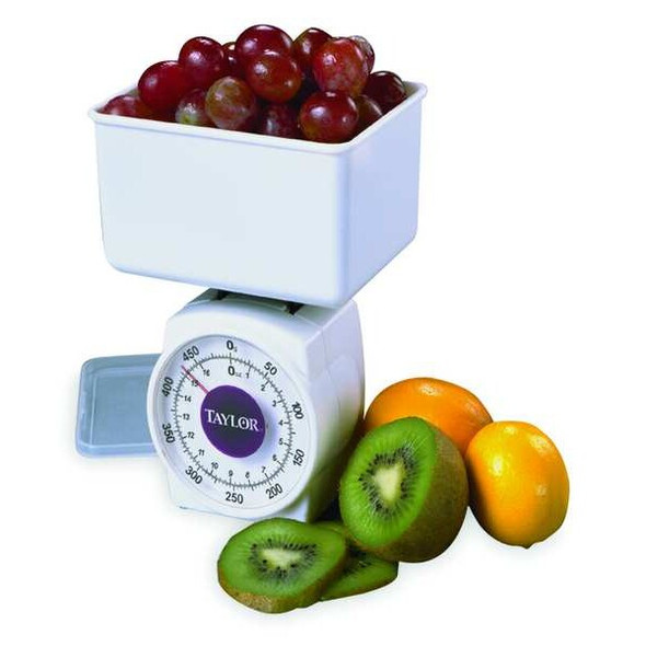 Taylor Mechanical Diet Scale,Plastic Platform 37204014T