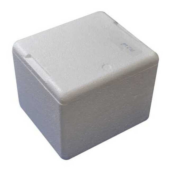 Insulated Bio Foam Shipping Container, Inside 6 in L x 5 in W x 4.5 in D,PK2