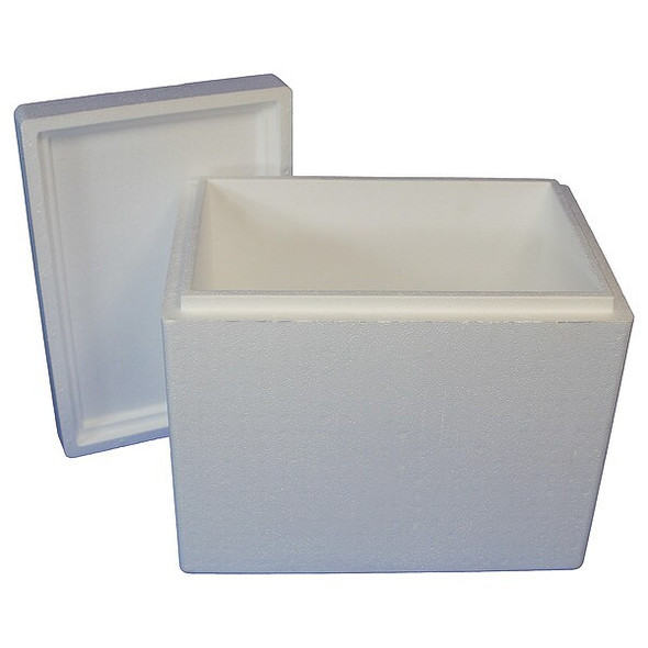 Insulated Shipping Bio Foam & Carton, 1-5 Day, Inside Height: 16 in