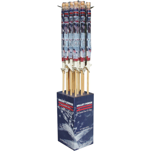 Valley Forge 12 Pc Flag Display AA99008-DIB