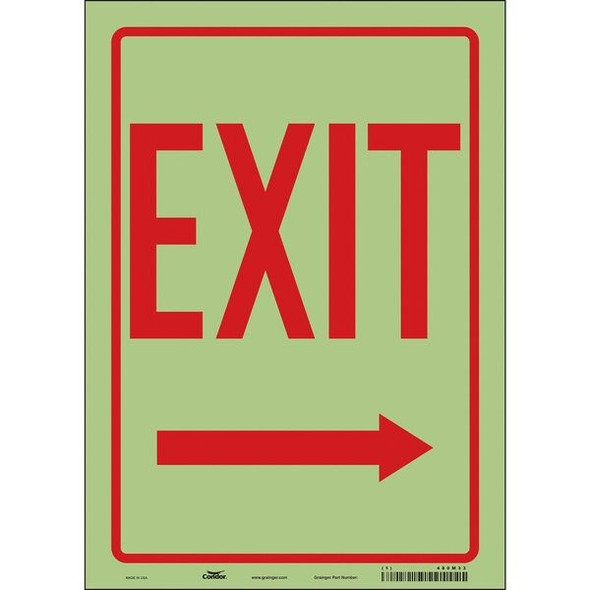 Condor Exit Sign, Vinyl, 10" W, 14" H, Exit, White 480M33