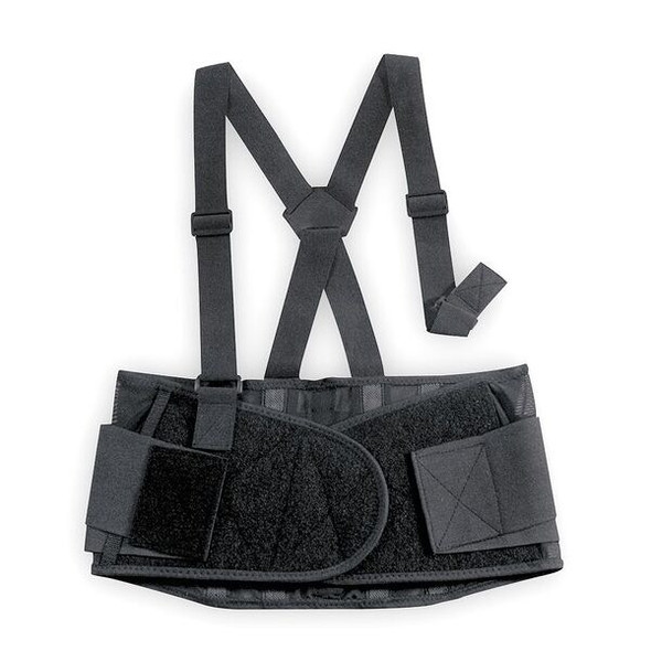 Condor Back Support,Premium With Suspender,S 3RVC9