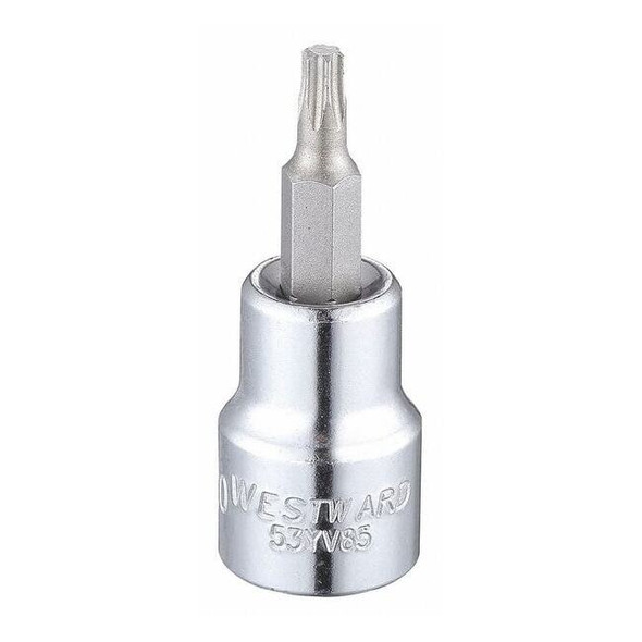 Westward 3/8 in Drive Torx(R) Socket Bit Torx(R) T20 Tip, 1 13/16 in L 53YV85