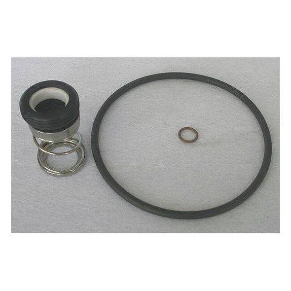 Dayton Pump Shaft Seal Kit, Seal Type 21 4JMY8