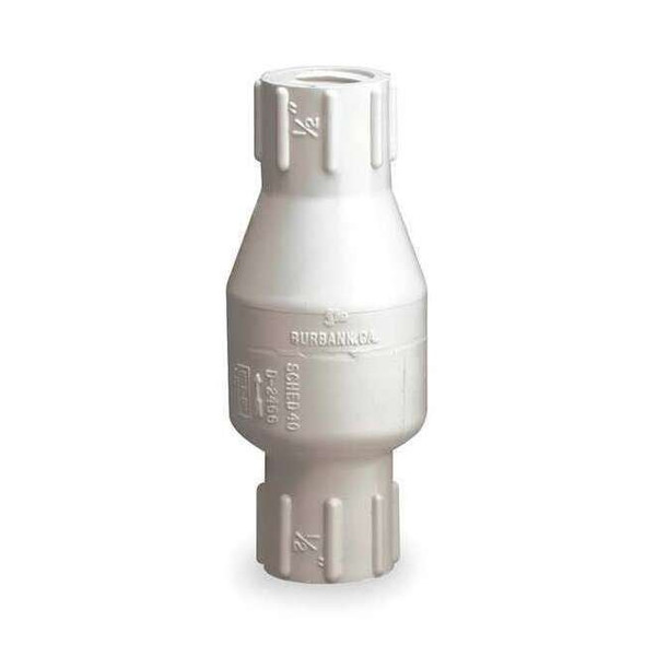 Dayton 1-1/4" FIPT PVC Spring Check Valve 4RG67