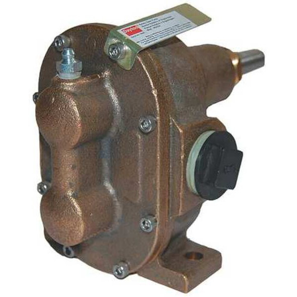 Dayton Rotary Gear Pump Head, 1/4 In., 1/4 HP 4KHG5