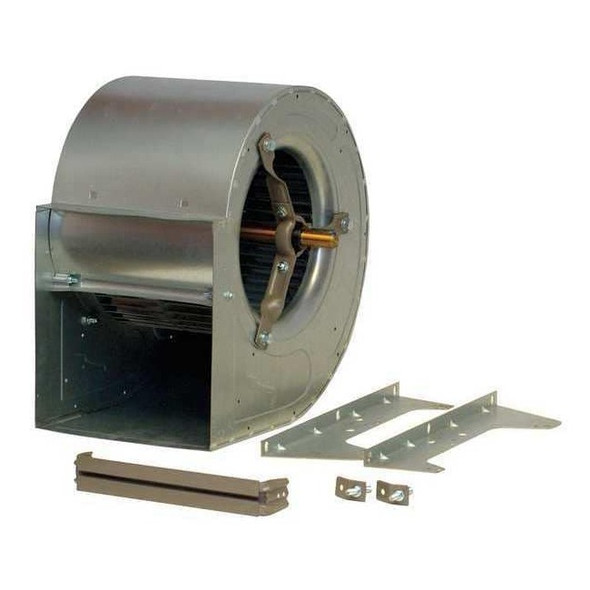 Dayton Blower,12-3/4In,BD,LessMtr,Whl 12-1/16 W 5NRD3