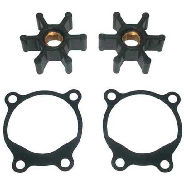 Dayton Pump Repair Kit 5UXN2