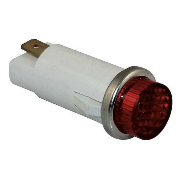 Dayton Raised Indicator Light,Red,24V 22NY43