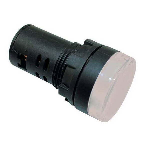 Dayton Raised Indicator Light,22mm,24V,White 22NY99