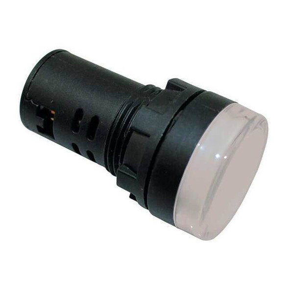 Dayton Raised Indicator Light,22mm,120V,White 22NZ05