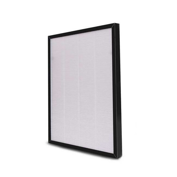 Dayton Replacement Filter,HEPA & Carbon,2HNP6 2HNR1