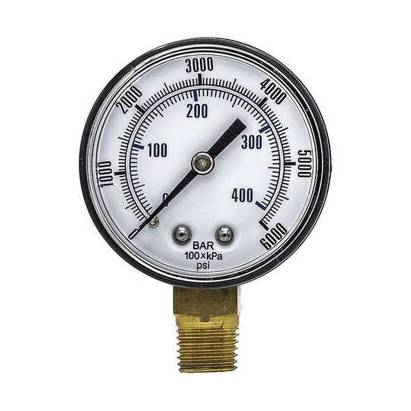Pic Gauges SEP-101D-204S