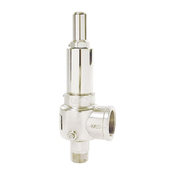 Apollo Valves POP Safety Valve,1/2 x 3/4 In,150 psi 511DCDKMAA0150