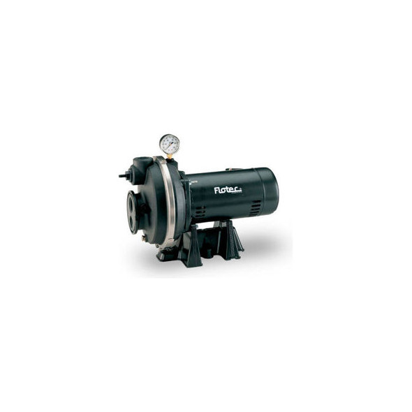 Flotec Thermoplastic Convertible Jet Pump 1 HP