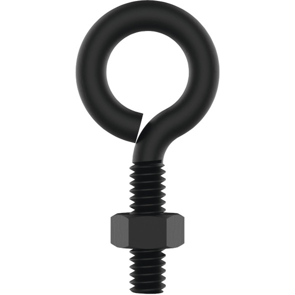 National Hardware 1/4 In. x 2 In. Storm Shine Eye Bolt with Nut N820-095