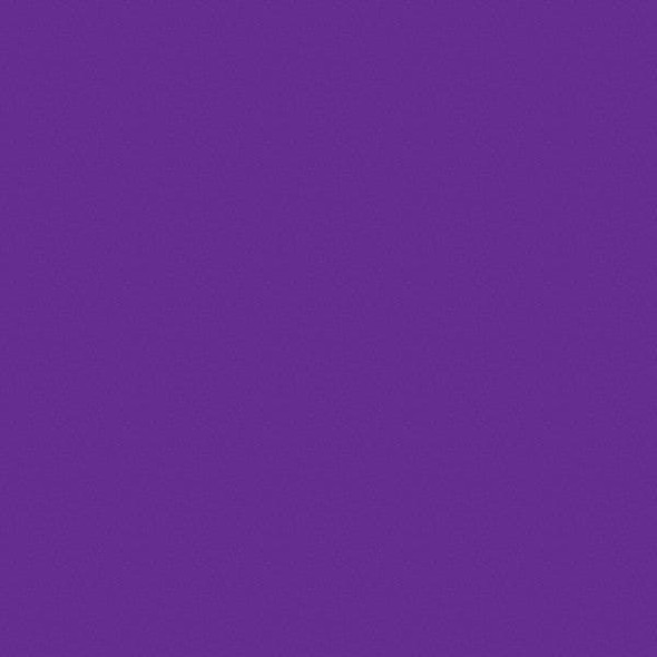 Rust-Oleum Precision Line Marking Paint, 20 oz, Fluorescent Purple, Water -Based 1869838