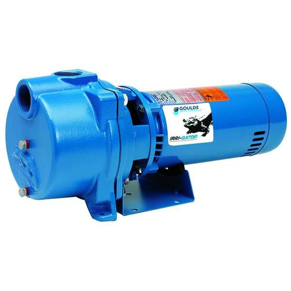 Goulds Water Technology Centrifugal Pump,1 HP,1Ph,120/240VAC GT10