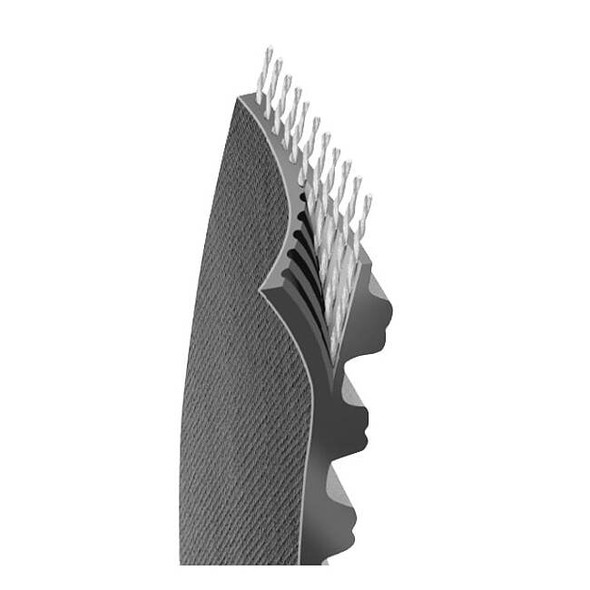 Continental Gearbelt,Falcon HTC,250 Teeth,12mm 8GTR-2000-12