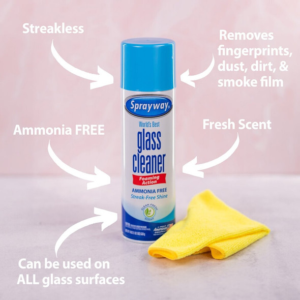 Sprayway 19 Oz. Glass & Surface Cleaner 1000000070 603945