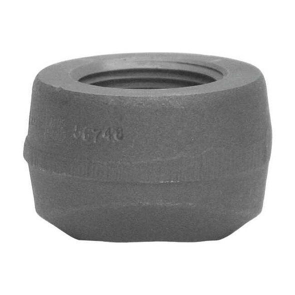 Anvil Pipe Saddle,Threaded Pipe,3/4 In 0766260442