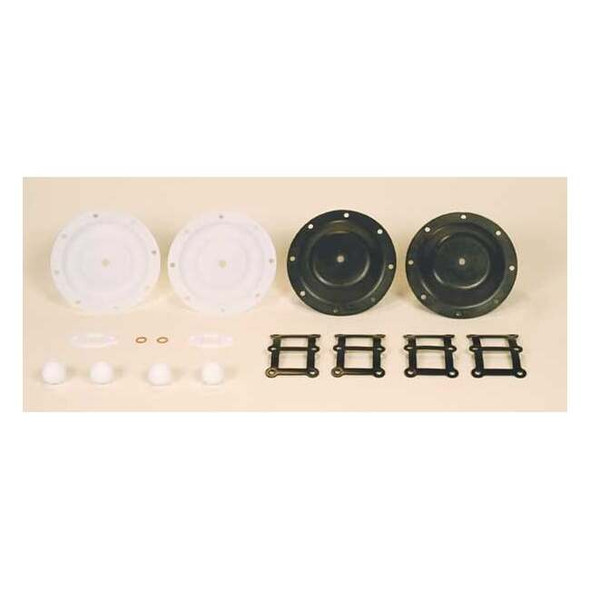 Sandpiper Fluid End Repair Kit, PTFE Ball, 1 in 476.309.635