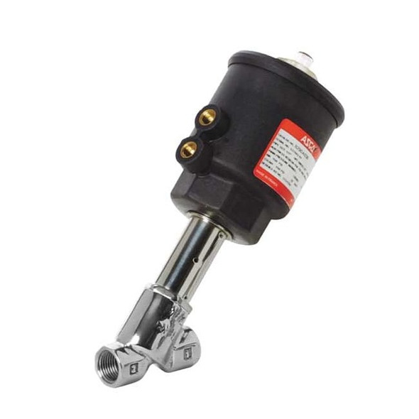 Asco RedHat Angle Body Piston Valve,SS,NC,3/4 In 8290B048