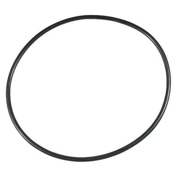 Dayton Ss Pump O-Ring PP21101640009G Dayton Ss Pump O-Ring PP21101640009G