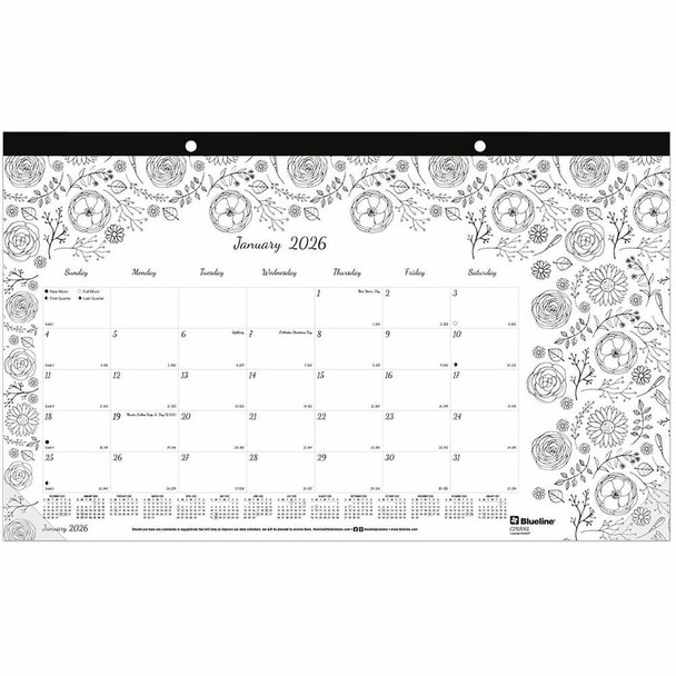 Blueline DoodlePlan Calendar C2917001