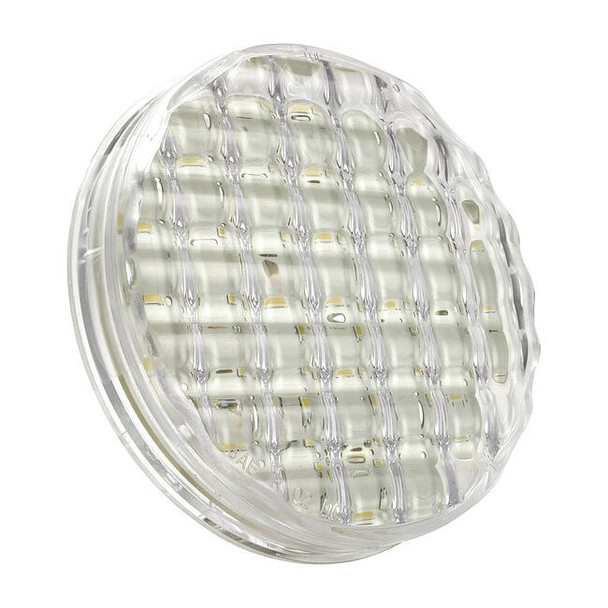 Grote Back Up Lamp,Round,Clear,4-5/16" dia. 62391
