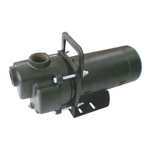 Dayton Centrifugal Pump, 1/2 hp, 115/230V AC, 1 Phase, 33 ft Max Head 4YKP6