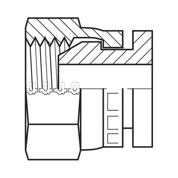 Adaptall Hose Adapter,1/2",BSPP 9033-08