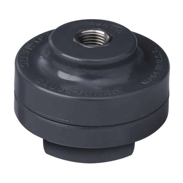 Plast-O-Matic Gauge Gd,Poly,Viton Dia,1/4 In Gauge Pt GGVS1-PP