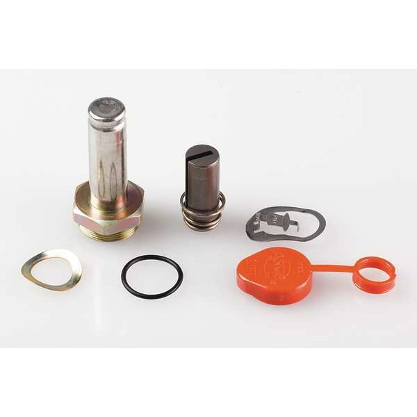 Asco Valve Rebuild Kit,With Instructions 304354