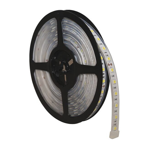 Ecco Strip Lighting,Odd Shape,192" L,286 LED EW0118