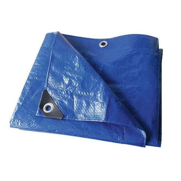 Standard Duty Tarp, 23 ft 10 in x 39 ft 4 in, 3.2 Mil, Blue, Polyethylene