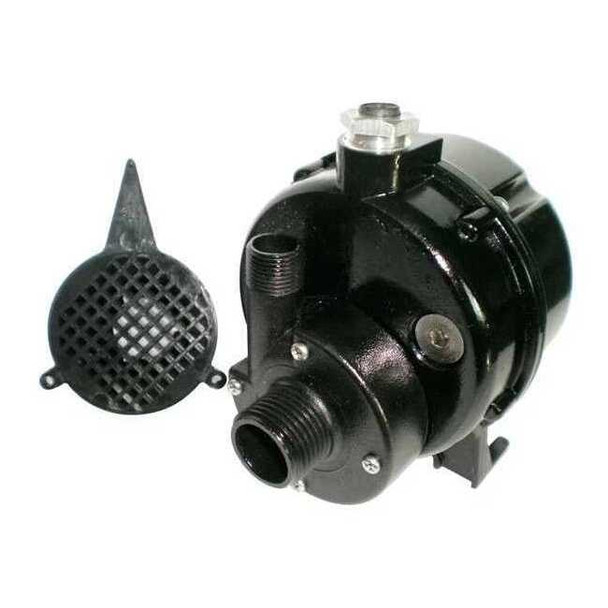 Dayton POM 1/100 HP Compact Submersible Pump 115V 12U595