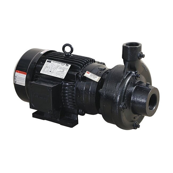 Dayton CentrfPmp,3hp,CI,1-1/2",BunaN/Crbn/Crmic 55JJ39